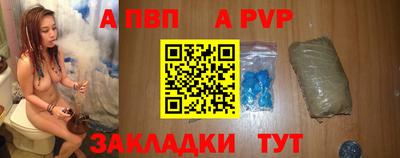 хмурый Тара
