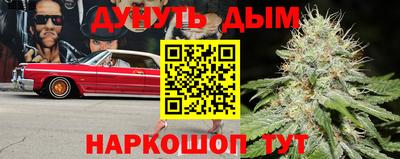 хмурый Тара