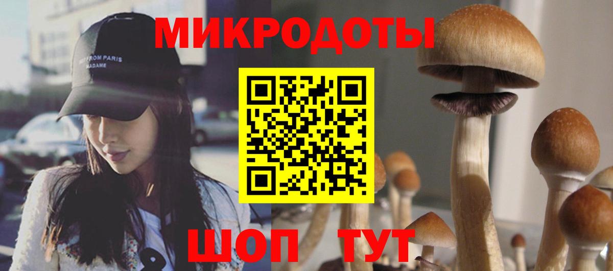 Галлюциногенные грибы Psilocybine cubensis Вичуга